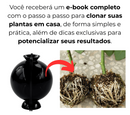 Aprenda a Clonar Plantas em Casa – Curso + Brinde Especial