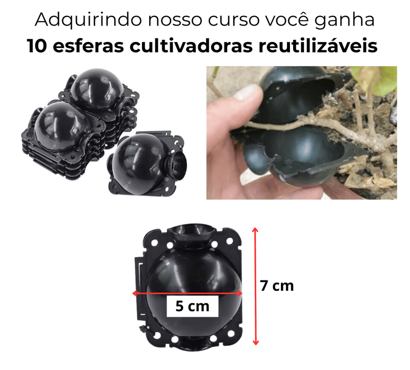 Aprenda a Clonar Plantas em Casa – Curso + Brinde Especial