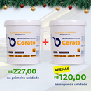 PROMOÇÃO DE NATAL - Kit Casa Blindada